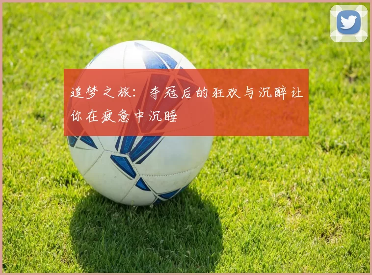 追梦之旅：夺冠后的狂欢与沉醉让你在疲惫中沉睡
